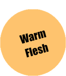 073 - Pro Acryl Warm Flesh
