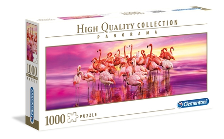 Flamingos