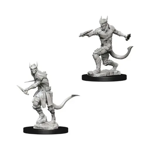 D&D Nolzur's Marvelous Unpainted Minis: Male Tiefling Rogue