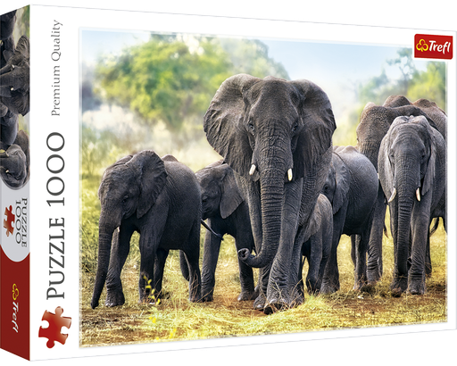 [10442] Elefantes Africanos