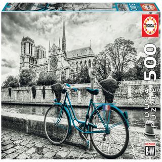 Bicicleta en Notre Dame