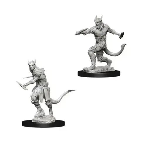 [73338] D&D Nolzur's Marvelous Unpainted Minis: Male Tiefling Rogue