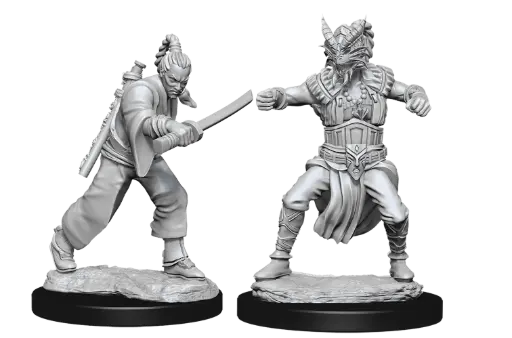 [73670] D&D Nolzur's Marvelous Unpainted Minis: Male Human Monk