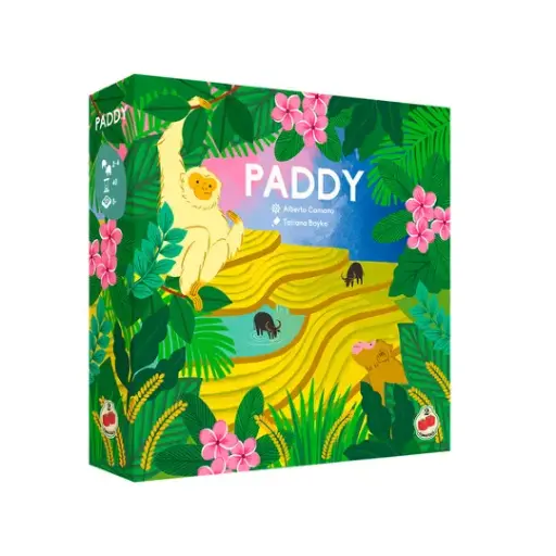 Paddy