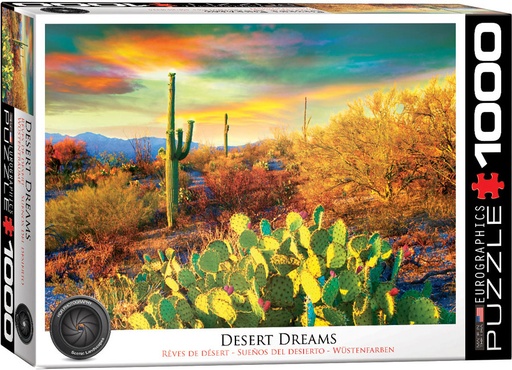 [6000-0690] Desert Dreams