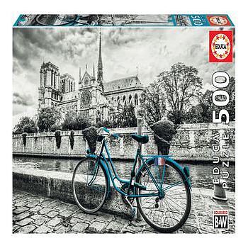 Bicicleta en Notre Dame